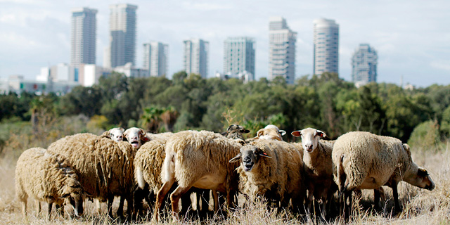 עיריית תל אביב מתכננת: חניון על חלק מפארק הירקון