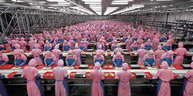 סין: הצמיחה בייצור התעשייתי לשפל של 17 שנה