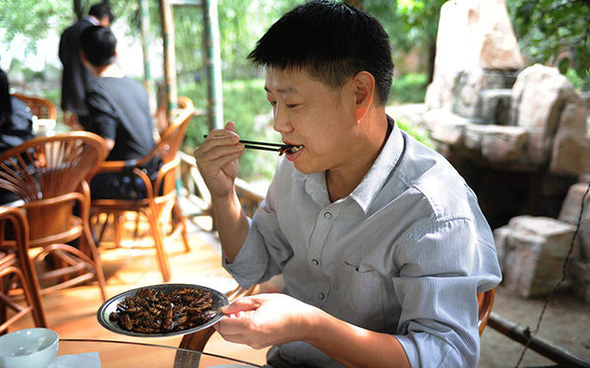 סיני אוכל מקקים מטוגנים באחד השווקים