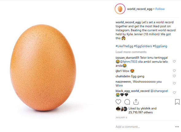 הביצה באינסטגרם. תמונת מסך, צילום: Instagram 