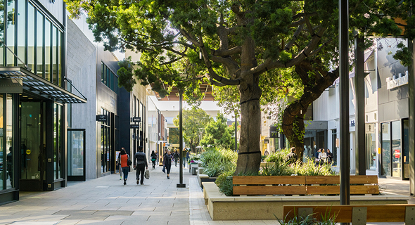 Palo Alto, California. Photo: Shutterstock
