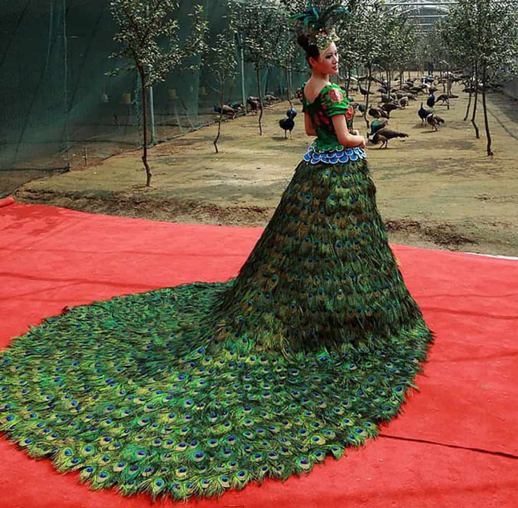 שמלת הטווס בעיצוב: ורה וונג. שנה שלמה אספו נוצות, צילום: Luxastic