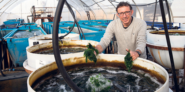 Entrepreneur Sees a Future Filled with Seawater Seaweed Farming Pools