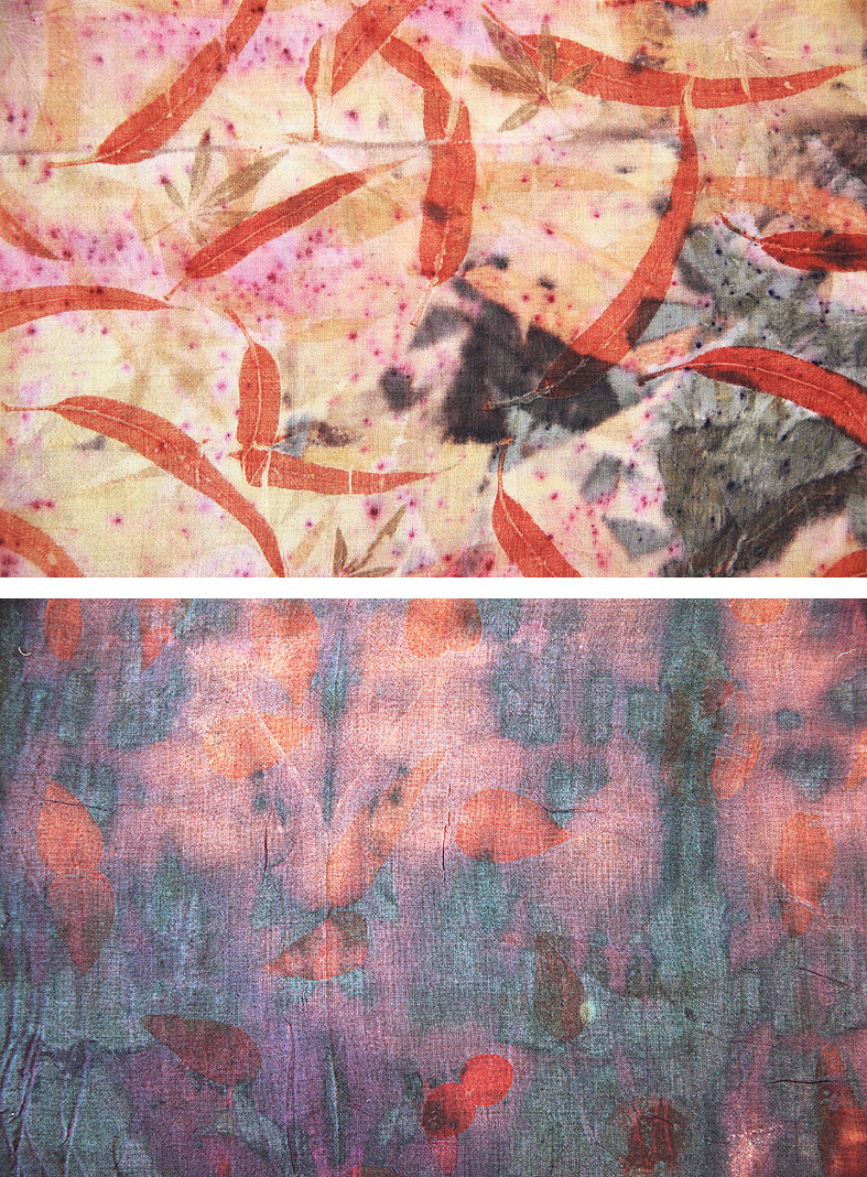 עבודותיה של האמנית בטי אילת - "כנימות כתושות מספקות גוון שבין אדום לוורדרד"