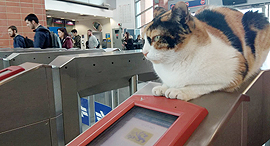 Mitzi at its station. Photo: Israel Railways