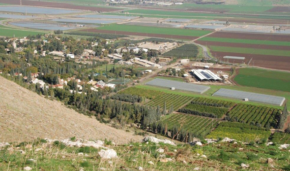 קיבוץ בית אלפא  בעמק יזרעאל 