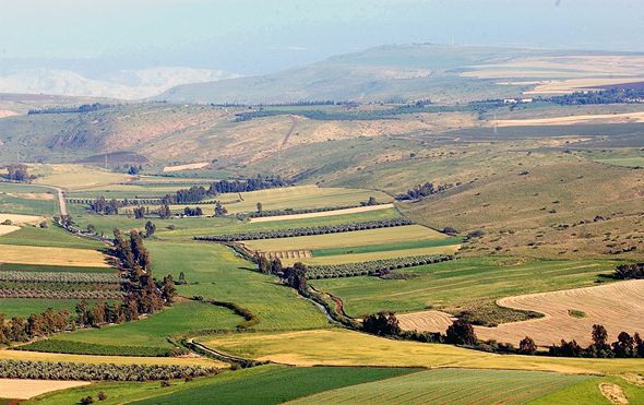 The Yizre&#39;el Valley in northern Israel. Photo: Elad Gershgoren