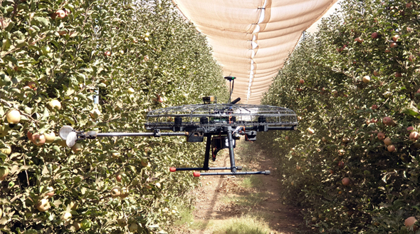 Tevel&#39;s apple-picking drone. Photo: Tevel