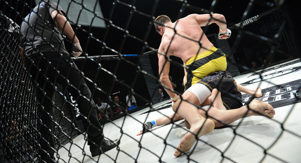 A UFC match. Photo: Shutterstock