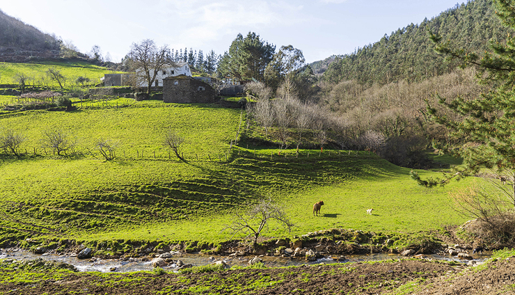 למכירה הכפר הספרדי Asturias