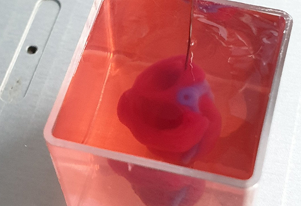 3D printed heart. Photo: Tel Aviv University