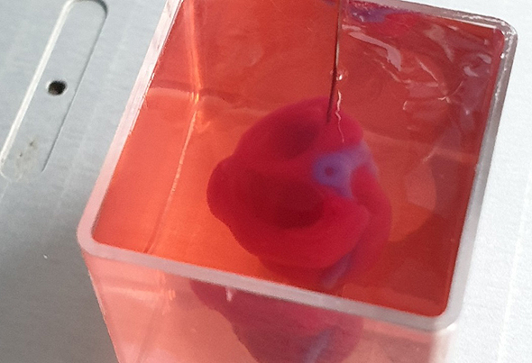 3d printed tissue