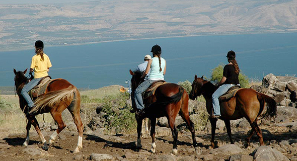 רוכבים על סוסים (ארכיון), צילום: גליה ינובסקי