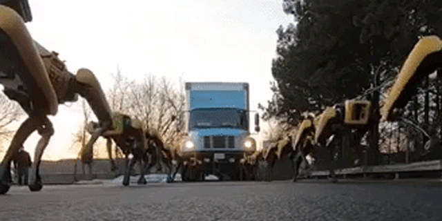 צפו: איך רובוט בגודל כלב מזיז משאית? עם קצת עזרה מחברים