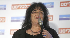 צילום: עמית שעל