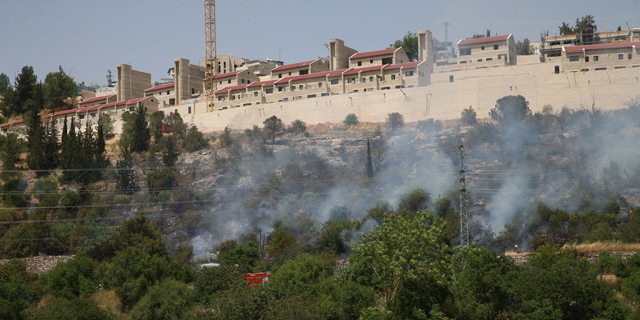 שריפה ליד מבשרת ציון, צילום: אוהד צויגנברג