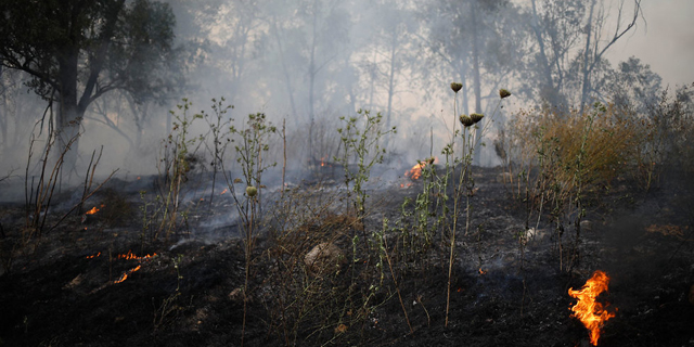 שריפה בבן שמן, צילום: AP