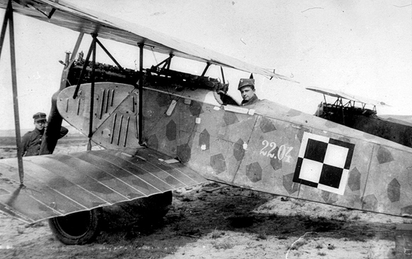 מטוס אלבטרוס גרמני שסופח בידי חיל האוויר הפולני לאחר מלחמת העולם הראשונה, צילום: bequickorbedead