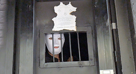 צילום: דור מנואל