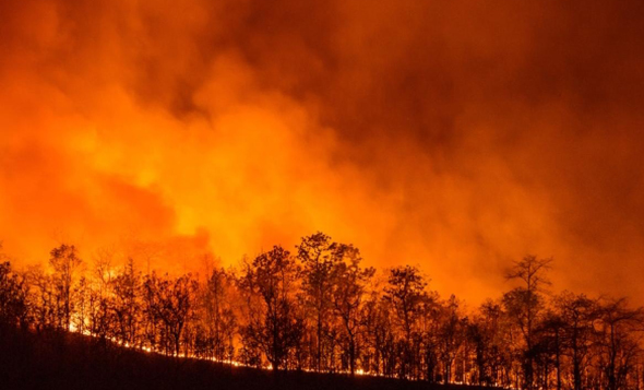 שריפה בקליפורניה כתוצאה מההתחממות 