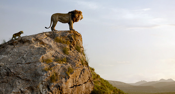 מתוך הסרט החדש: מלך האריות, צילום: The Walt Disney Company