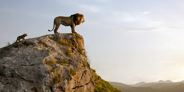 סימבה, תתבגר: הזגזוג של &quot;מלך האריות&quot; החדש