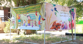 צילום: אוראל כהן