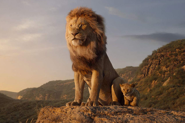 מתוך "מלך האריות". דיסני שברה שיאים בעולם ובארץ, צילום: Disney