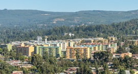 Addis Ababa, Ethiopia. Photo: Shutterstock
