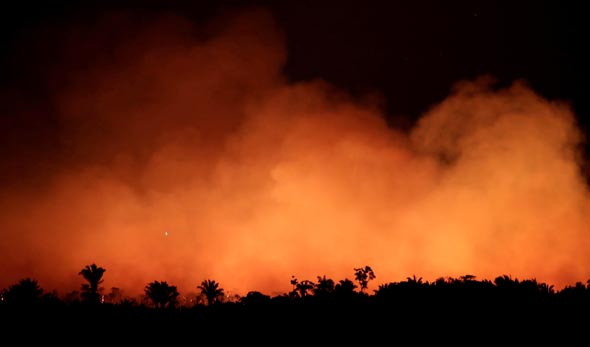 שריפות ענק באמזונס ב-2019. שטחים עצומים נכחדו 