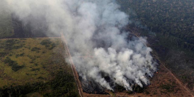 אחת השריפות באמזונס, צילום: רויטרס
