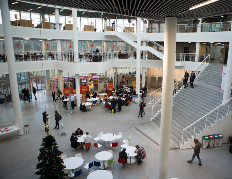 אוניברסיטת רקייאוויק איסלנד , צילום: גטי 