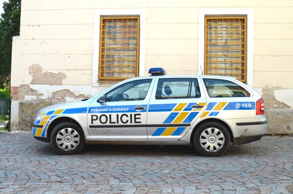 ניידת משטרה, צילום: שאטרסטוק