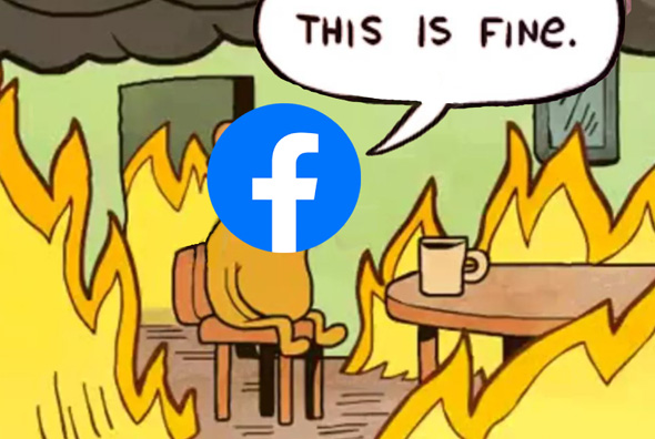 פייסבוק מלבה את השנאה ברשת