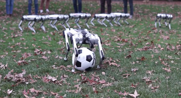 הרובוטים של MIT משחקים כדורגל, צילום: MIT
