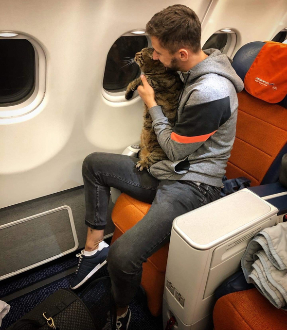 החתול ויקטור ובעליו מיכאיל גאלין על טיסת אירופלוט