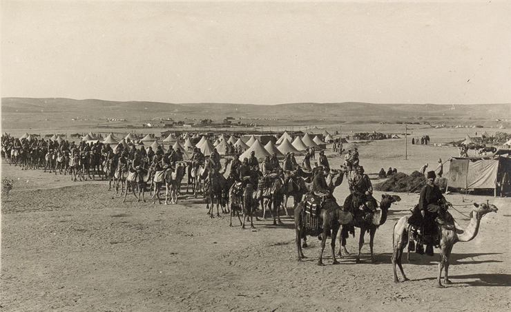 שיירת גמלים של חיל המשלוח המצרי בשירות הבריטים. מלחמת העולם הראשונה