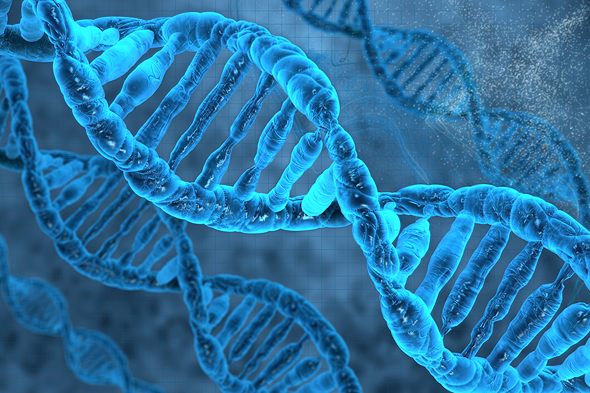 A strand of DNA. Photo: Shutterstock