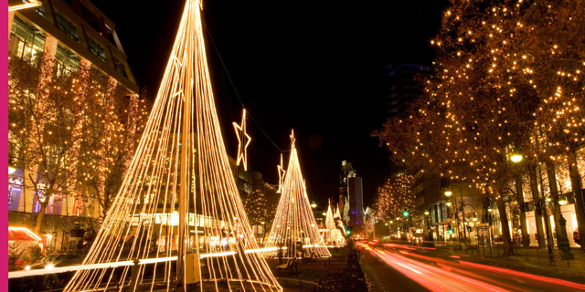 חג האורות: מופעי אורות מרהיבים מערים בעולם לכבוד כריסמס 