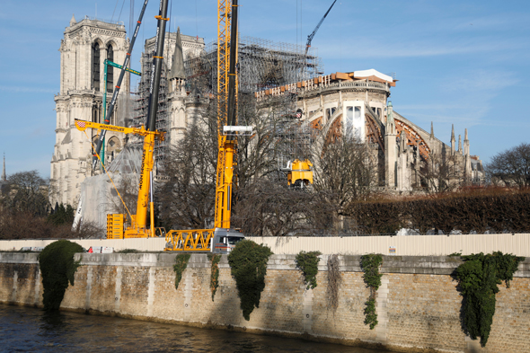 קתדרלת נוטרדם פריז שיקום פיגומים, צילום: רויטרס