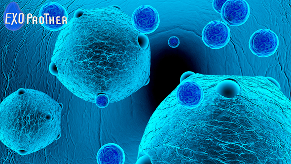 אילוסטרציה של ננו-חלקיקים המובילים את החומר הטיפולי לגידול הסרטני