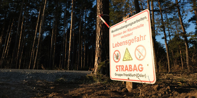 בית משפט בגרמניה: טסלה תוכל לכרות יער כדי להקים מפעל חדש