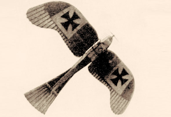 מטוס אטריך טאובה, ששימש את הכוחות האיטלקיים לסיור ותקיפה