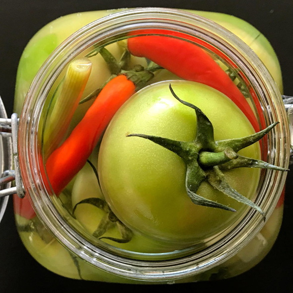 "המחמיצה" נועה ברמן הרצברג | ירקות ופירות מוחמצים, צילום: תמרה פומרנץ