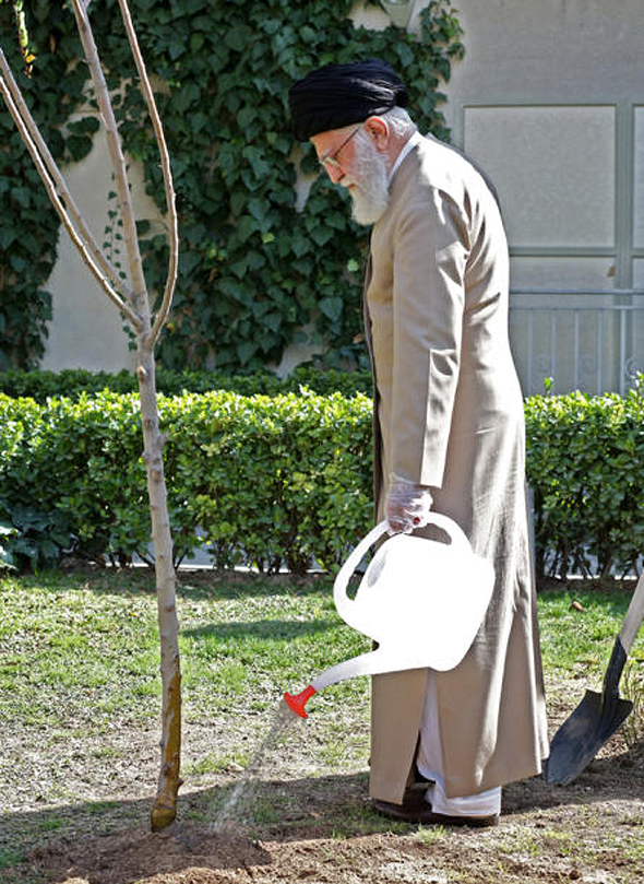המנהיג העליון של איראן עלי חמינאי משקה עץ בימים של קורונה , צילום: איי אף פי