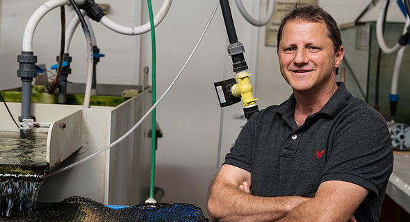 Professor of environmental and water sciences at BGU, Amit Gross. Photo: Dani Machlis