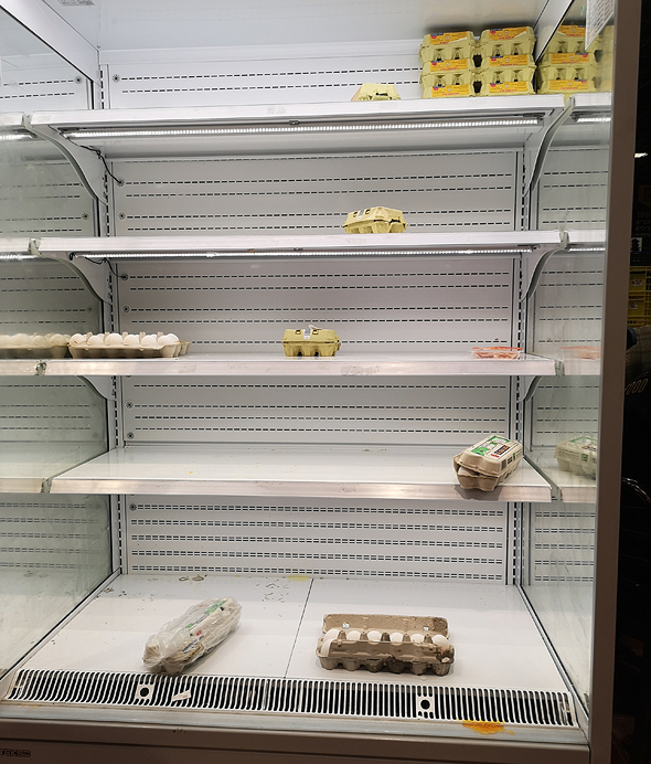 מדפי ביצים רקים בסופרמרקט, צילום: מיטל בריל