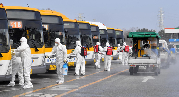 ריסוס אוטובוסים בדרום קוריאה