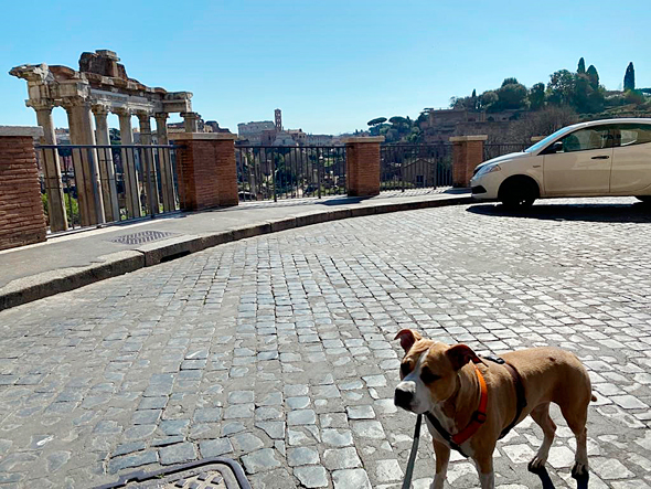 רומא בהסגר בשל מגיפת הקורונה