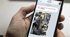 CYous's phone app. Photo: PR